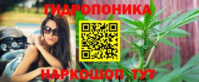индика Краснознаменск